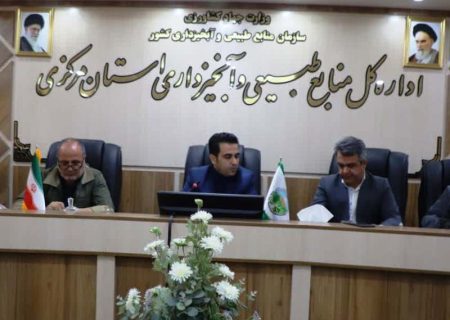 ظرفیت تولید سالانه سه میلیون اصله نهال توسط بخش خصوصی استان مرکزی