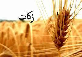 افزایش ۶۸ درصدی جمع آوری زکات در استان مرکزی