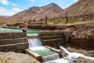 کاشت بذر بادام در ۱۴ هکتار از اراضی پارک آبخیز گردو شهرستان اراک