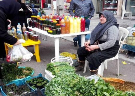 هدفگذاری ایجاد ۱۱ روستا بازار در استان مرکزی